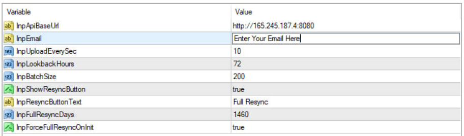 MT4 EA Inputs example screen